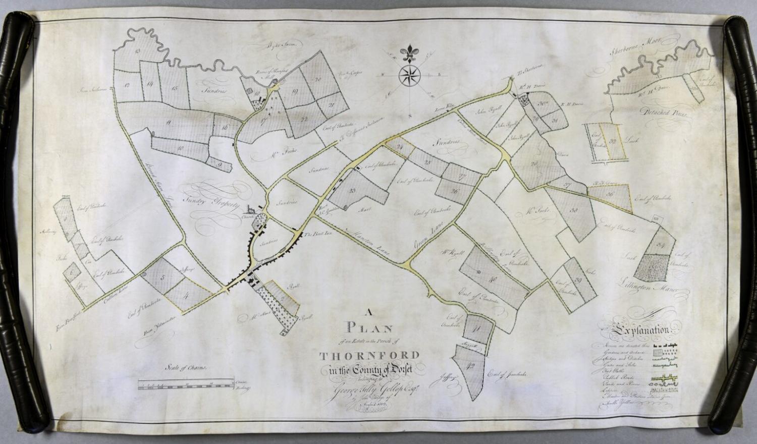  1802 manuscript map of a Thornford estate in Thornford